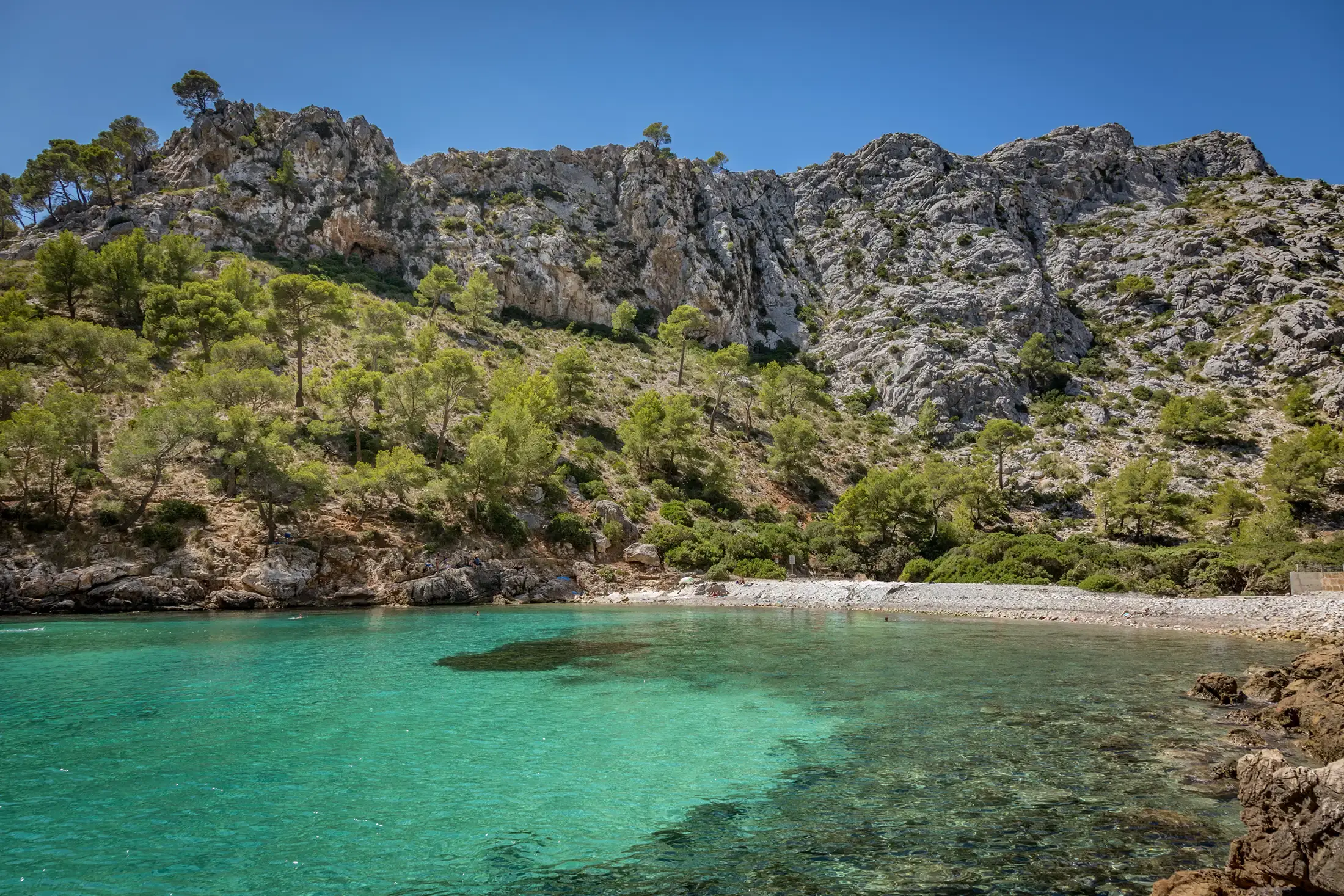 Cala Murta · Pollença, Mallorca — vue depuis un llaüt de Blauxell